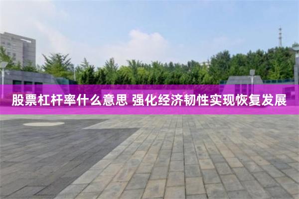 股票杠杆率什么意思 强化经济韧性实现恢复发展