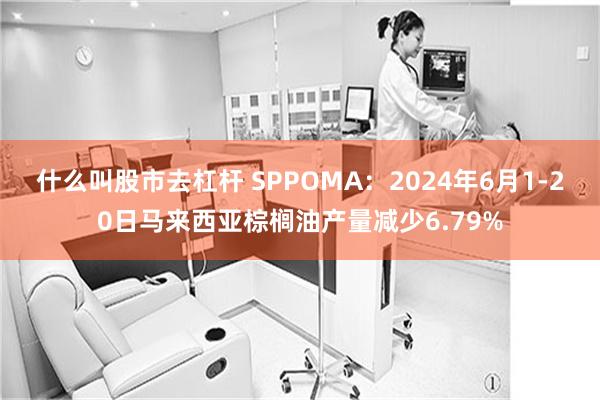 什么叫股市去杠杆 SPPOMA：2024年6月1-20日马来西亚棕榈油产量减少6.79%