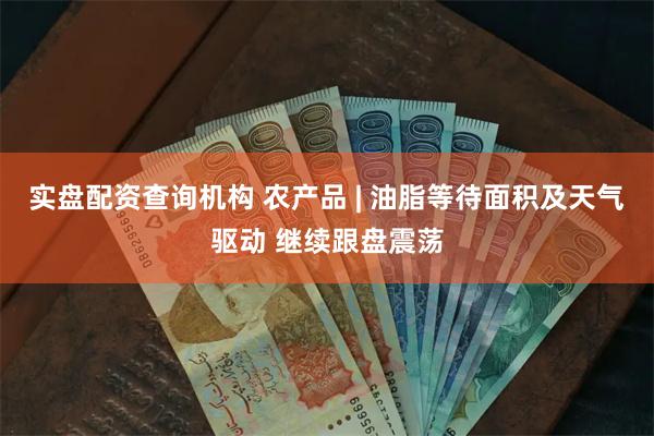 实盘配资查询机构 农产品 | 油脂等待面积及天气驱动 继续跟盘震荡