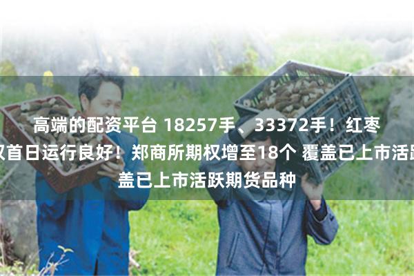 高端的配资平台 18257手、33372手！红枣、玻璃期权首日运行良好！郑商所期权增至18个 覆盖已上市活跃期货品种