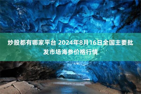 炒股都有哪家平台 2024年8月16日全国主要批发市场海参价格行情