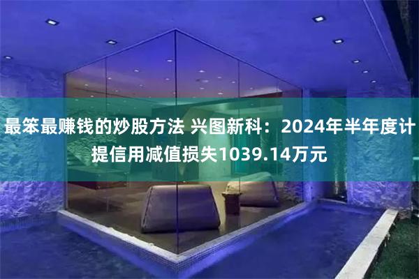 最笨最赚钱的炒股方法 兴图新科：2024年半年度计提信用减值损失1039.14万元