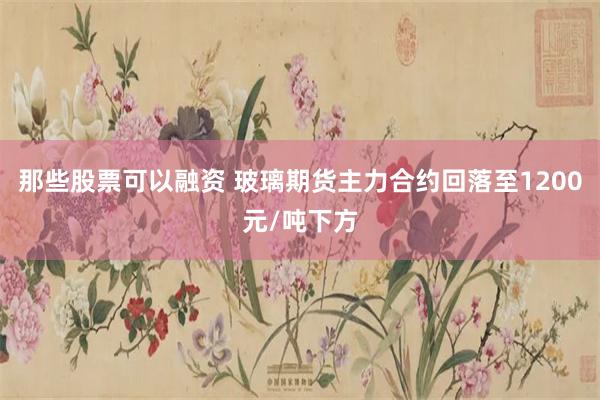 那些股票可以融资 玻璃期货主力合约回落至1200元/吨下方