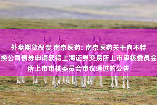 外盘期货配资 南京医药: 南京医药关于向不特定对象发行可转换公司债券申请获得上海证券交易所上市审核委员会审议通过的公告