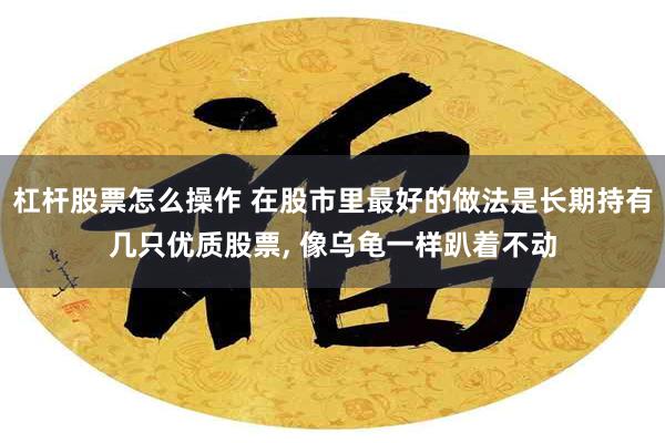 杠杆股票怎么操作 在股市里最好的做法是长期持有几只优质股票, 像乌龟一样趴着不动