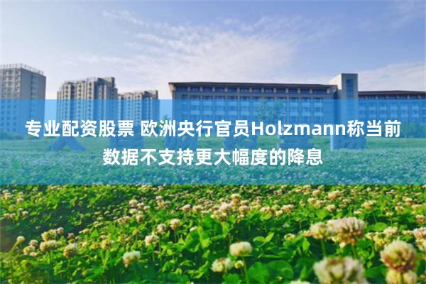 专业配资股票 欧洲央行官员Holzmann称当前数据不支持更大幅度的降息