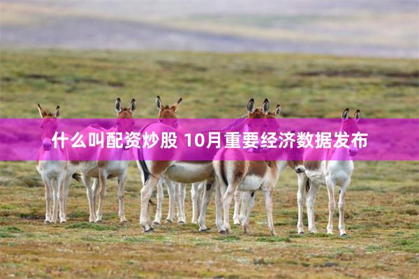 什么叫配资炒股 10月重要经济数据发布