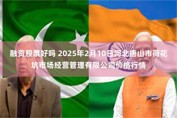 融资股票好吗 2025年2月10日河北唐山市荷花坑市场经营管理有限公司价格行情