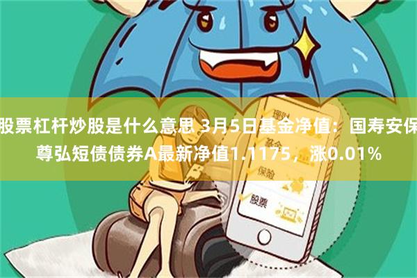 股票杠杆炒股是什么意思 3月5日基金净值：国寿安保尊弘短债债券A最新净值1.1175，涨0.01%